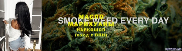 молекула духа Арсеньев