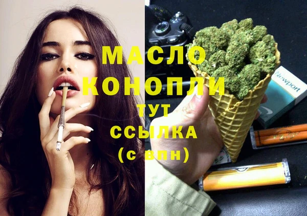 молекула духа Арсеньев