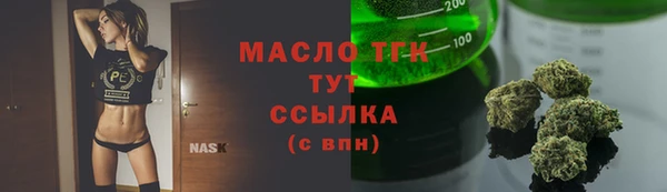 молекула духа Арсеньев