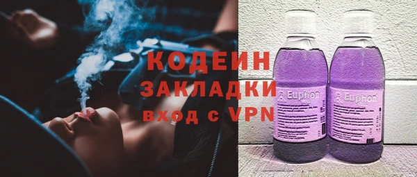 молекула духа Арсеньев