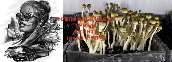 молекула духа Арсеньев