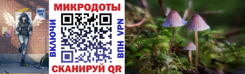 Псилоцибиновые грибы Psilocybe  Ядрин 